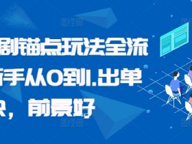 番茄短剧锚点玩法全流程，新手从0到1，出单快，前景好