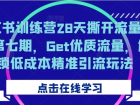 小红书训练营28天撕开流量入口第七期，Get优质流量，解锁低成本精准引流玩法