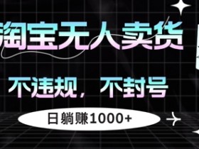 淘宝无人卖货，不违规不封号，简单无脑，日躺入几张