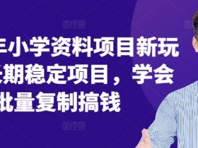 2024年小学资料项目新玩法，长期稳定项目，学会批量复制搞钱