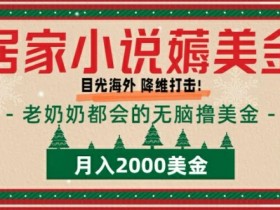 居家小说薅美金，拆解海外撸美金项目月入2000美刀详细指导