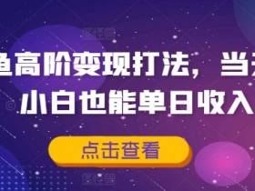 闲鱼高阶变现打法，当天出单，小白也能单日收入5张