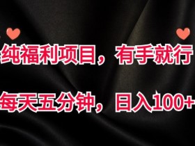 纯福利项目，有手就行，每天五分钟，日入100+