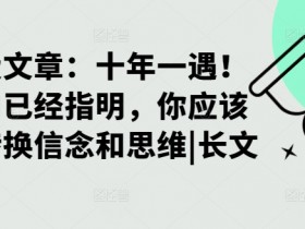 某付费文章：十年一遇！当方向已经指明，你应该立刻转换信念和思维|长文