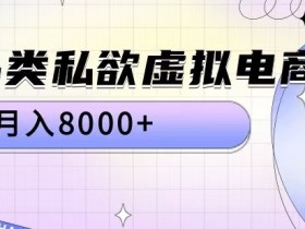 全品类私欲虚拟电商，月入8000+【揭秘】