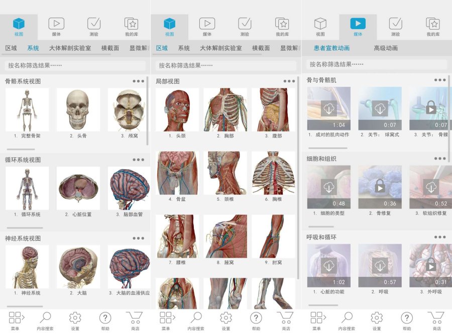 2025人体解剖学图谱！解锁付费高级版