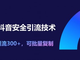 11月抖音安全引流技术，单日引流300+，可批量复制