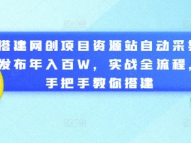 搭建网创项目资源站自动采集发布年入百W，实战全流程，手把手教你搭建【揭秘】