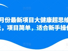 11月份最新项目大健康超思维打法，项目简单，适合新手操作