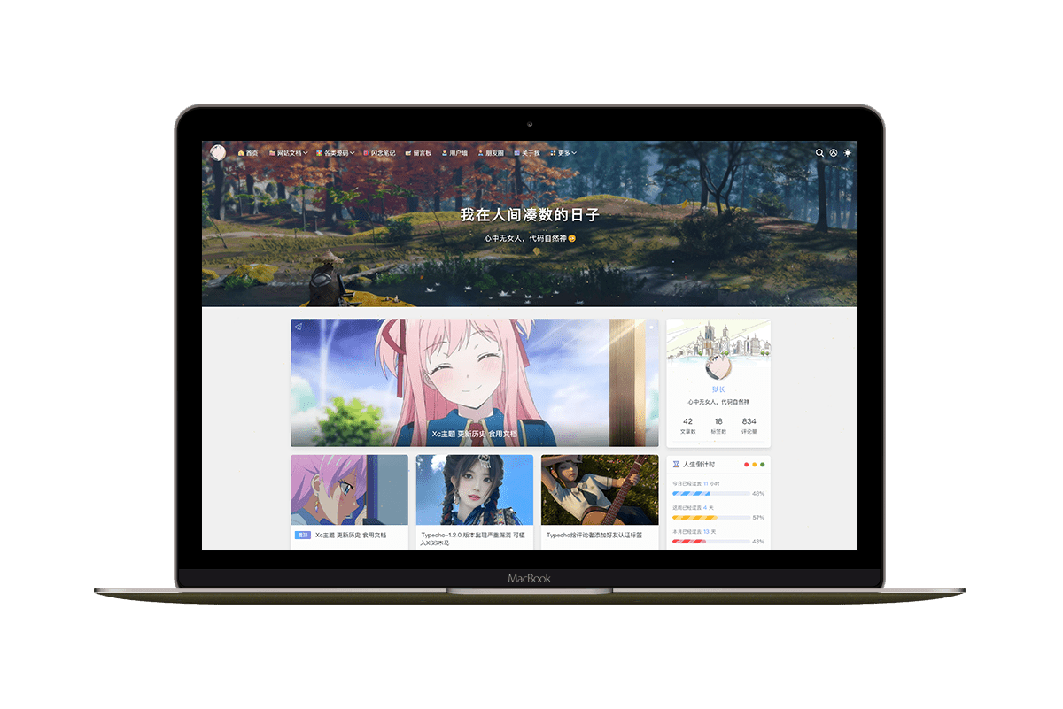 收费模板 XC-THEME主题