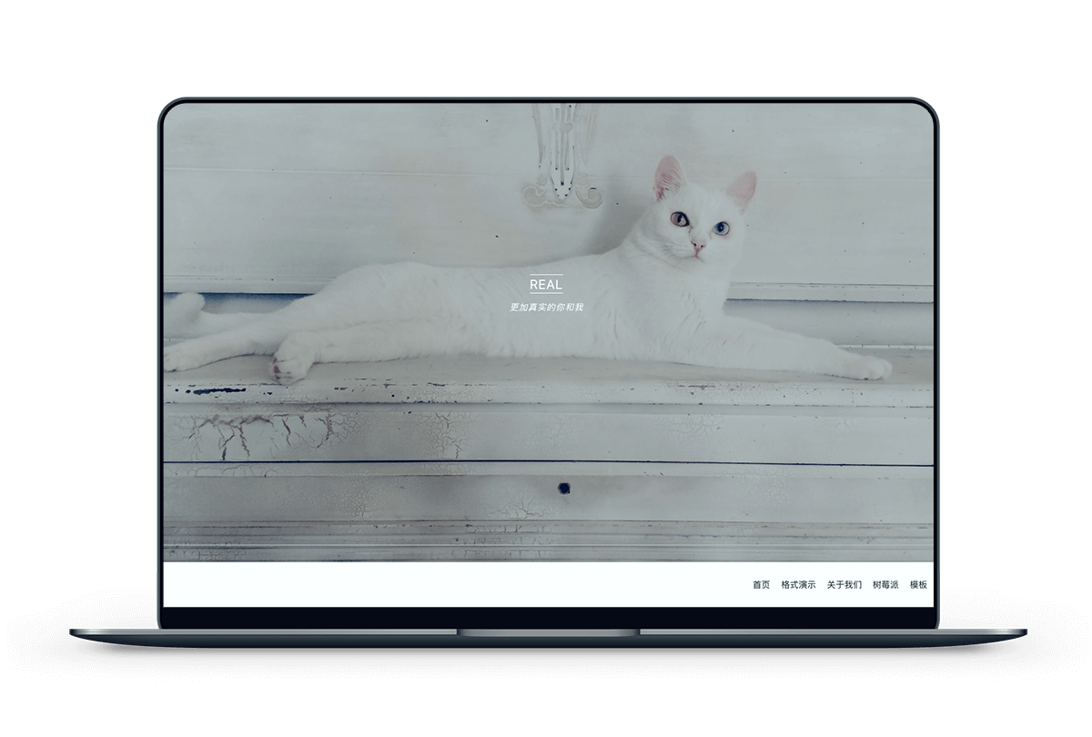 Real 大图相册模板