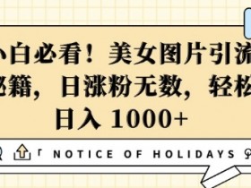 小白必看，美女图片引流秘籍，日涨粉无数，轻松日入几张【揭秘】