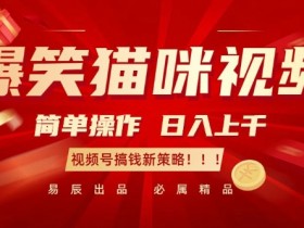 爆笑猫咪视频：简单操作，日入过K，视频号搞钱新策略【揭秘】