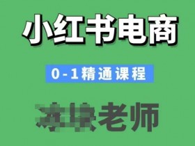 小红书电商0-1精通课程，小红书开店必学课程