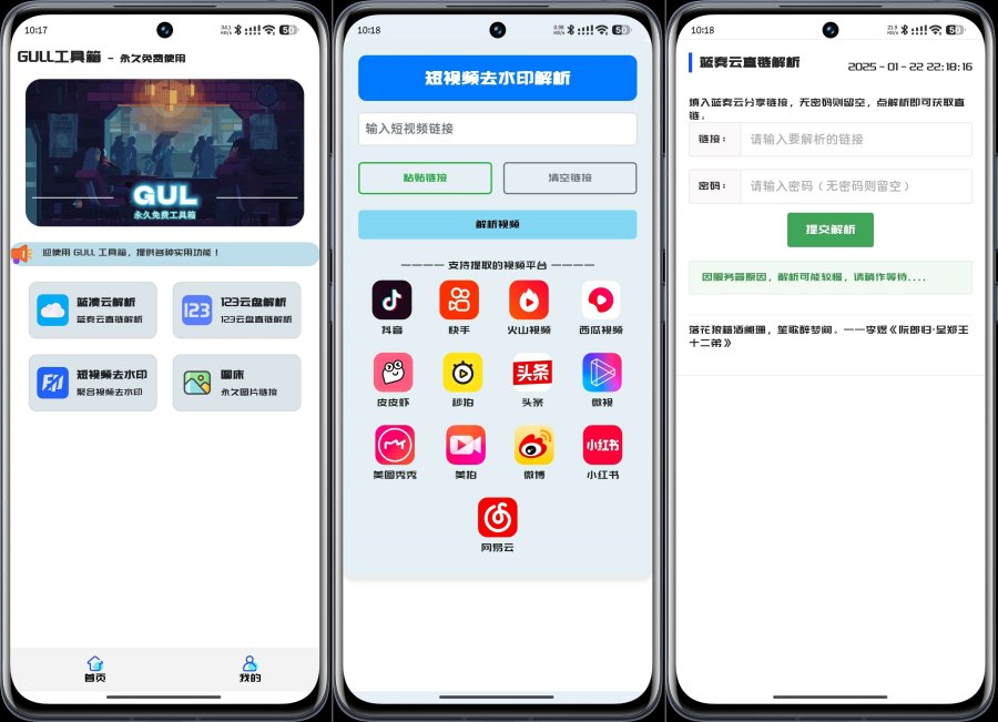 GULL工具 提供云盘解析、短视频去水印等服务