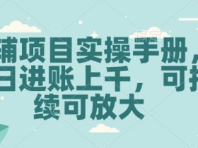 教辅项目实操手册，单日进账上千，可持续可放大