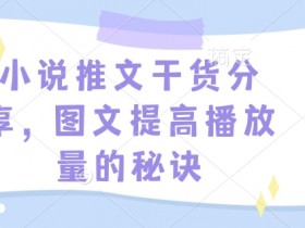 小说推文干货分享，图文提高播放量的秘诀