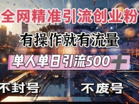 全网独家引流创业粉，有操作就有流量，单人单日引流500+，不封号、不费号