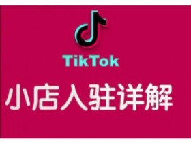 TikTok跨境小店运营全攻略，帮助你独立运营TK跨境小店的能力，实现销量增长