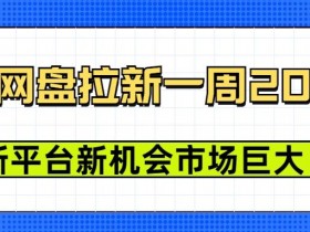 豆包网盘拉新，一周2k，新平台新机会