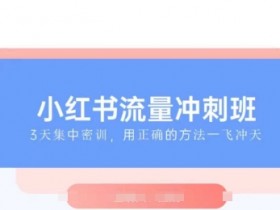 小红书流量冲刺班2025，最懂小红书的女人，快速教你2025年入局小红书