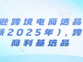 亚马逊跨境电商选品案例(更新2025年)，跨境电商利基选品