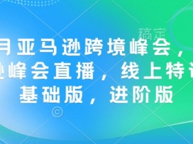 12月亚马逊跨境峰会， 亚马逊峰会直播，线上特训营基础版，进阶版
