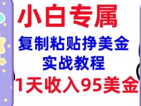 复制粘贴挣美金，0门槛，1天收入95美刀，3分钟学会，内部教程(首次公开)