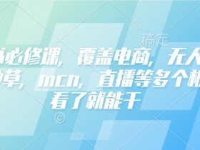 小红书必修课，覆盖电商，无人，获客，种草，mcn，直播等多个板块，看了就能干