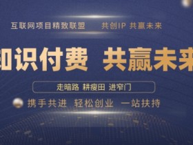 别人苦寻无果，为何他们靠知识付费卖项目 2025 年轻松年入100个?【揭秘】