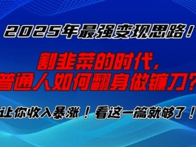 2025年最强变现思路，割韭菜的时代， 普通人如何翻身做镰刀？【揭秘】