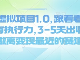 闲鱼虚拟项目1.0，跟着老手操作，有执行力，3-5天出收益，做离变现最近的赛道