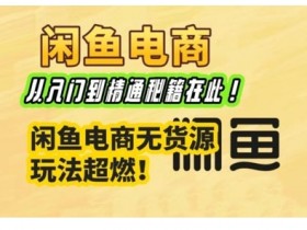 闲鱼电商实战课，从入门到精通秘籍在此，闲鱼电商无货源玩法超燃!