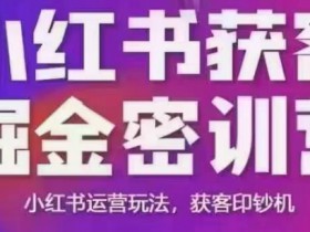 小红书获客掘金线下课，录音+ppt照片，小红书运营玩法，获客印钞机