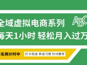 全域虚拟电商变现系列，通过平台出售虚拟电商产品从而获利