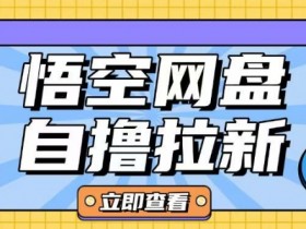 全网首发悟空网盘云真机自撸拉新项目玩法单机可挣10.20不等