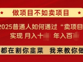 必看，做项目不如卖项目，2025普通人如何通过“卖项目”实现月入十个，年入百个