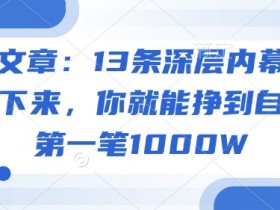 付费文章：13条深层内幕统统背诵下来，你就能挣到自己的第一笔1000W