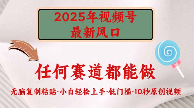 （14453期）2025年微信视频号新蓝海，门槛较低只需没脑子实行