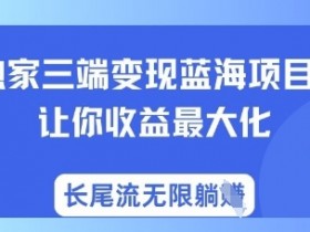 独家三端变现蓝海项目，让你收益最大化，长尾流无限躺挣