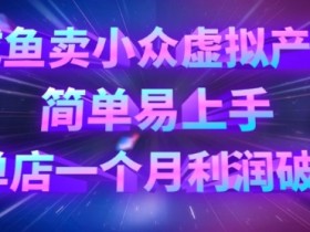 咸鱼卖小众虚拟产品，简单易上手，单店一个月利润破W