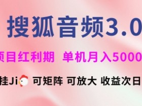搜狐音频挂ji3.0.可矩阵可放大，独家技术，稳定月入5000+【揭秘】