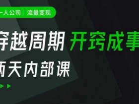 一人公司：流量变现课，一人公司的方法模型拆解， 拆解富人思维，流量思维，小老板思维等