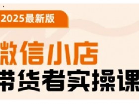2025最新版微信小店带货者实操课，基础操作到高级运营技巧，快速上手
