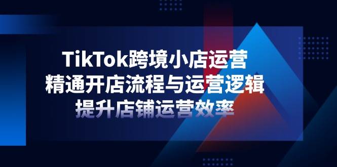 图片[1]-TikTok跨境小店运营，精通开店流程与运营逻辑，提升店铺运营效率