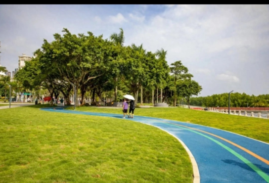 前缘TV 1.2.1内置源的高清电视直播电视家