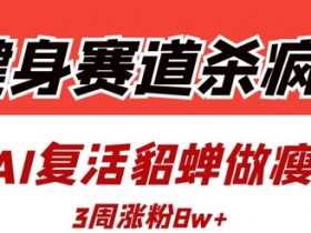 健身赛道杀疯了？我用AI复活貂蝉做瘦身操，3周涨粉8W