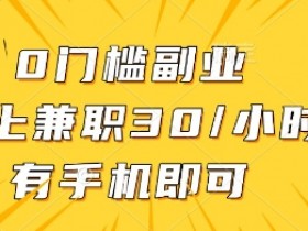 0门槛副业，线上兼职30一小时，有一部手机即可操作【揭秘】