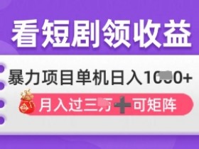 2025年4月最新看短剧领收益，单机日收入1k【揭秘】