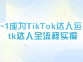 从0~1成为TikTok达人运营，tk达人全流程实操
